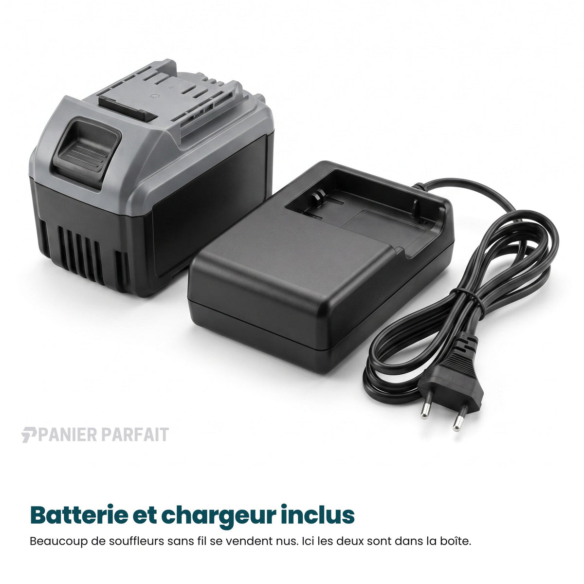 Souffleur aspirateur électrique sans fil 2 en 1 rechargeable