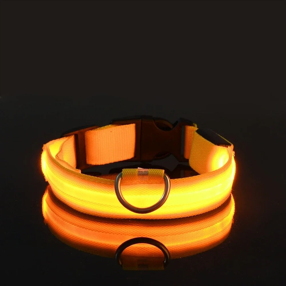 Light-Up Dog Collar and Leash