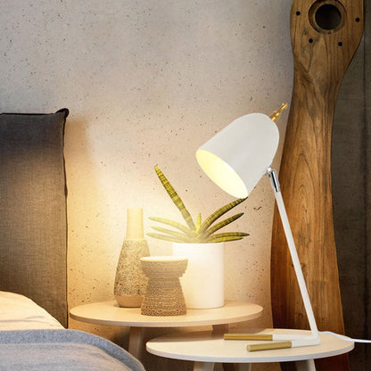 Elegant Metal Desk Lamp with Dome Lampshade