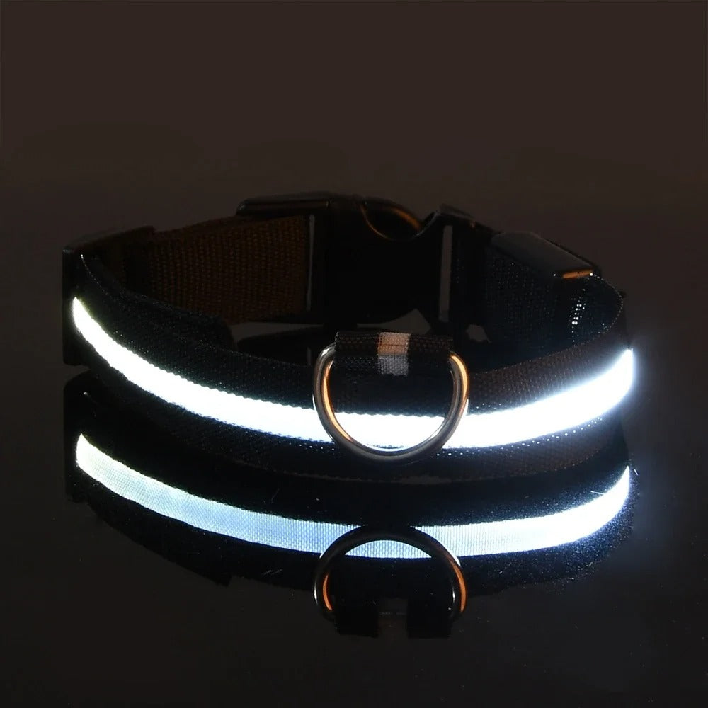 Light-Up Dog Collar and Leash