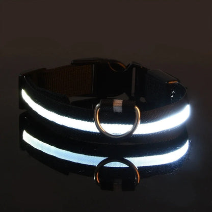 Light-Up Dog Collar and Leash