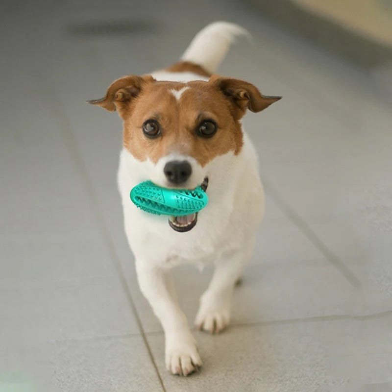 Jouet distributeur de friandises interactif pour animaux