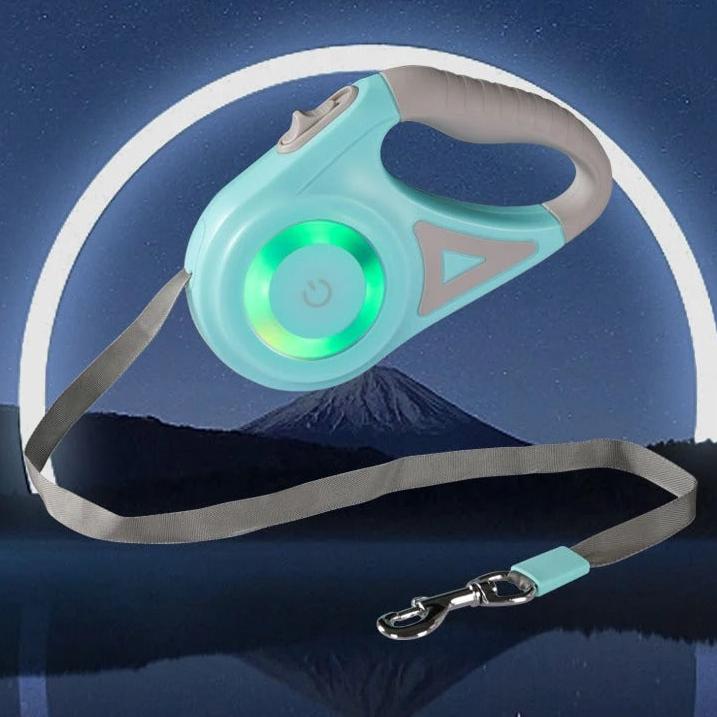 Laisse rétractable lumineuse pour chien LED
