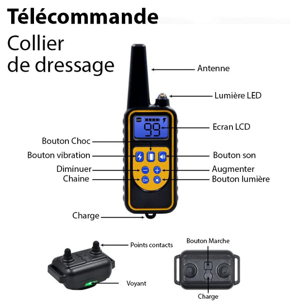 Collier anti-aboiement étanche rechargeable pour chien