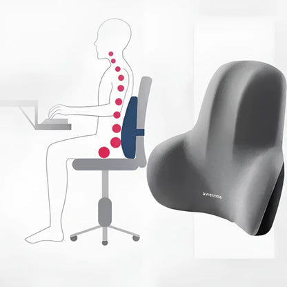 Ergonomic Lumbar Cushion in Memory Foam