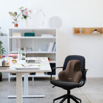 Ergonomic Lumbar Cushion in Memory Foam