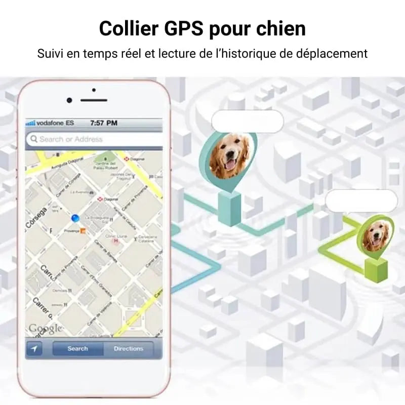 Collier GPS étanche et antidérapant pour chien intelligent