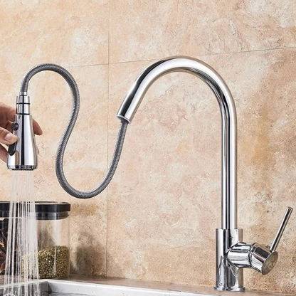 Kitchen Faucet with Adjustable Hand Shower