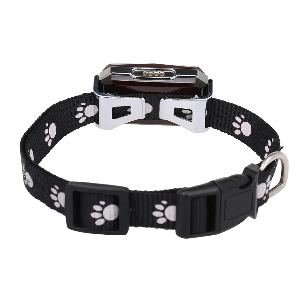 Collier GPS étanche et antidérapant pour chien intelligent