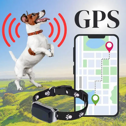 Collier GPS étanche et antidérapant pour chien intelligent