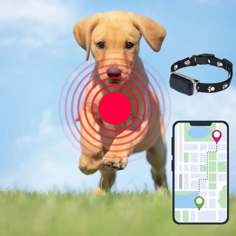 Collier GPS étanche et antidérapant pour chien intelligent
