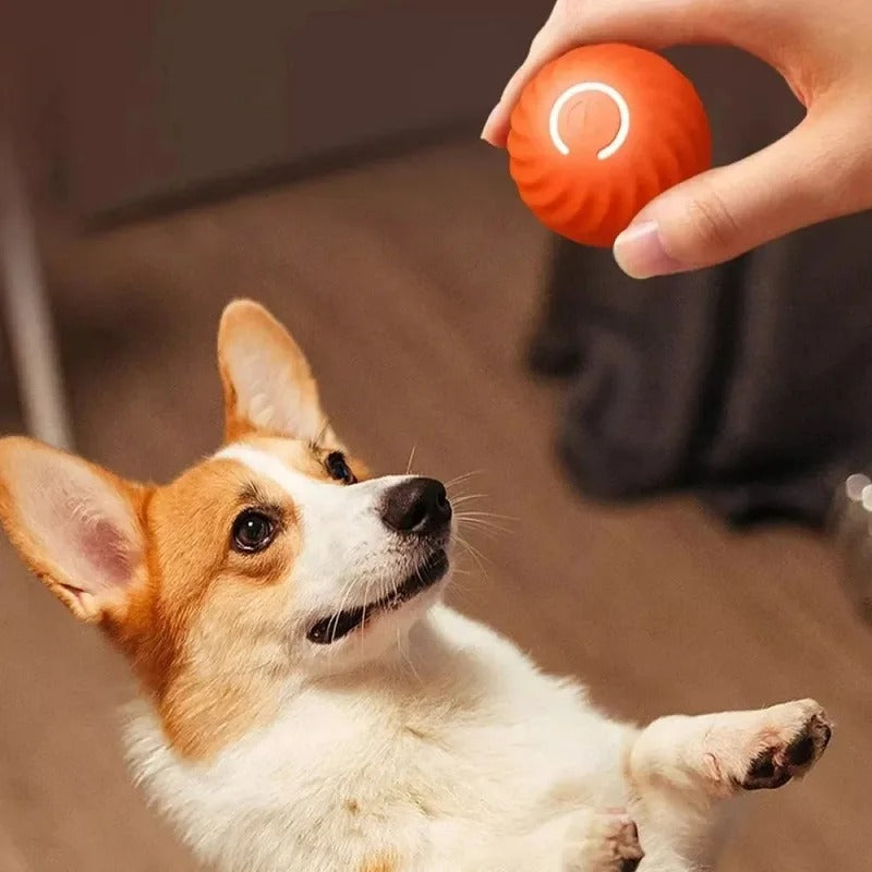 Balle interactive pour chien à mouvement automatique