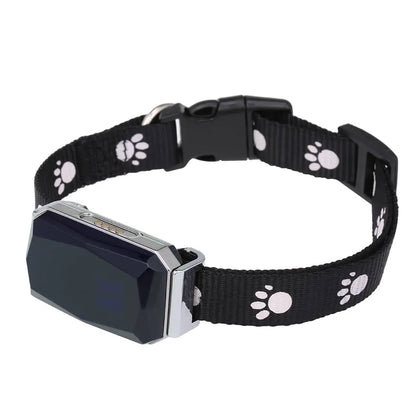 Collier GPS étanche et antidérapant pour chien intelligent
